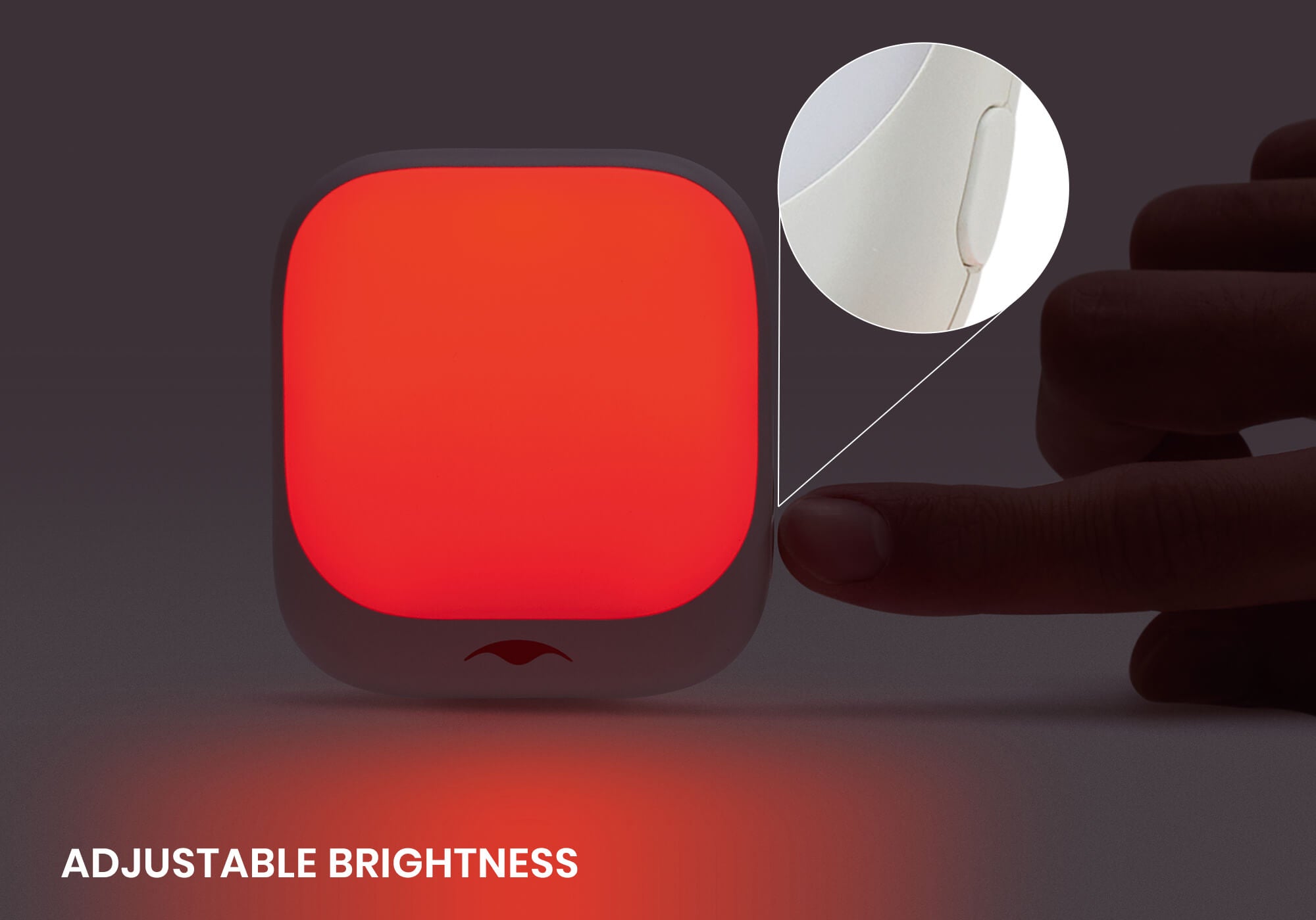 PRO Sleep Recharge Bundle - Image 12